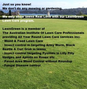 Lawn Expert For Weed And Feed Lawn Care, then Call The Lawn Specialists at LawnGreen for a greener weed free lawn in Sydney NSW Australia.