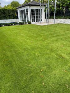 Sir Grange Zoysia Lawn in North Shore suburb of St Ives, Sydney, NSW