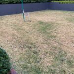 Lawn Drainage Solutions