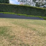 Lawn Drainage Solutions