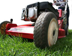 LawnMaintMower
