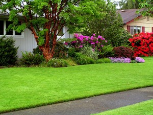 Lawn Care Service - 11 Great Reasons To Choose LawnGreen