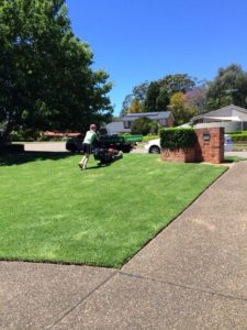 Kikuyu Grass Care - Summer Lawn Care Tips