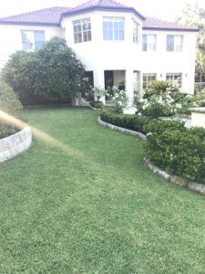 Buffalo Lawn Care - Getting The Best Out Of Your Buffalo Grass.