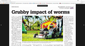 Army Grub Control - most effective control of Army Worm and Sod Web Worm with our Lawn Insecticides - guaranteed to control the Army Worm Life Cycle 6 weeks