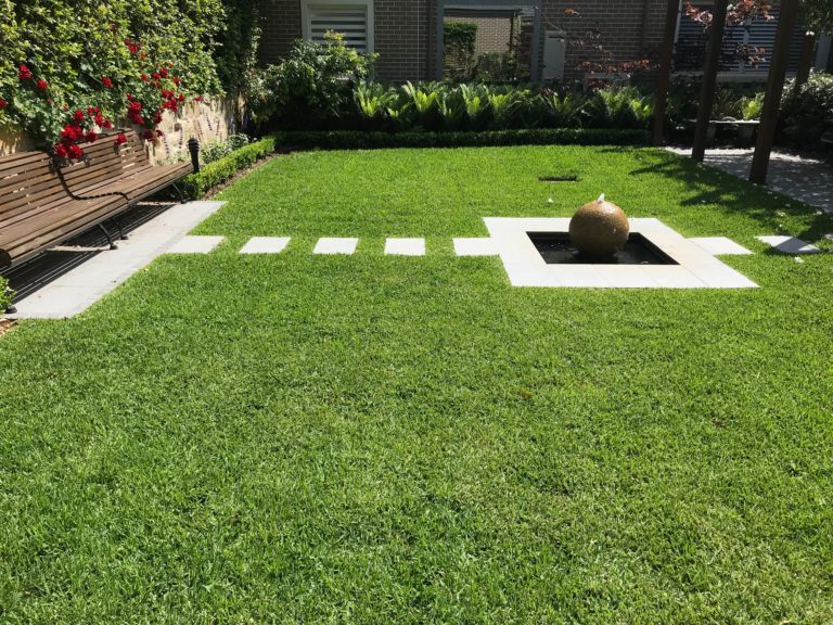 The Best Of Buffalo Lawns In 2020 Lawn Green