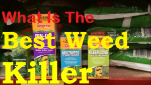 How To Get Rid Of Weeds In Your Lawn and What Is The Best Herbicide For You