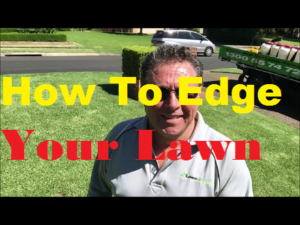 How To Edge Your Lawn properly so you have nice clean crisp looking edges
