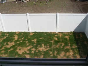 grass-patches
