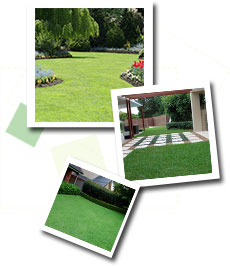 lawn-green-home