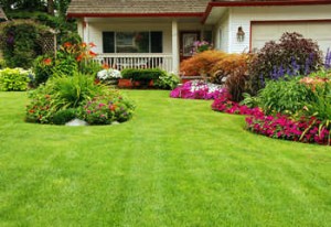 residential-lawn